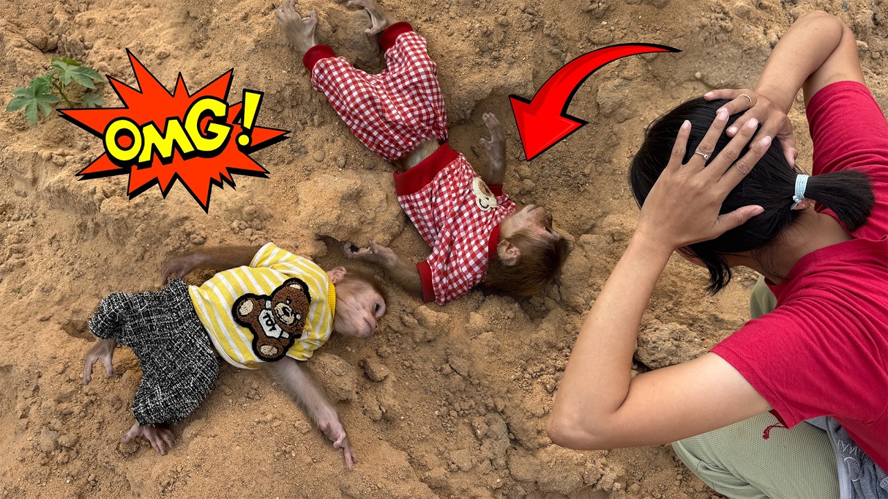 Lucky and Sunny play by the sand pile, Mom panics and rushes over after something unexpected happen!