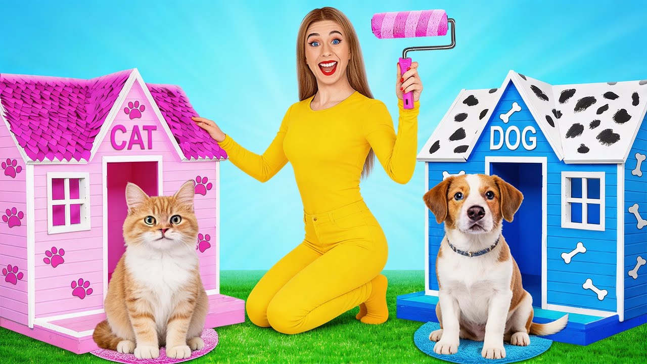 Budujemy Sekretne Pokoje dla Zwierząt | Zabawne Wyzwania od Multi DO Best