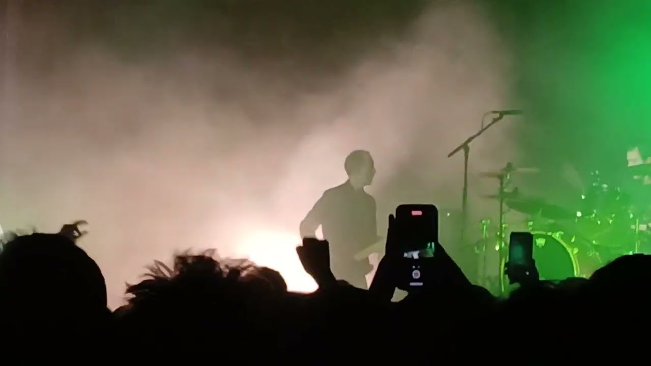 Suede - Animal Nitrate