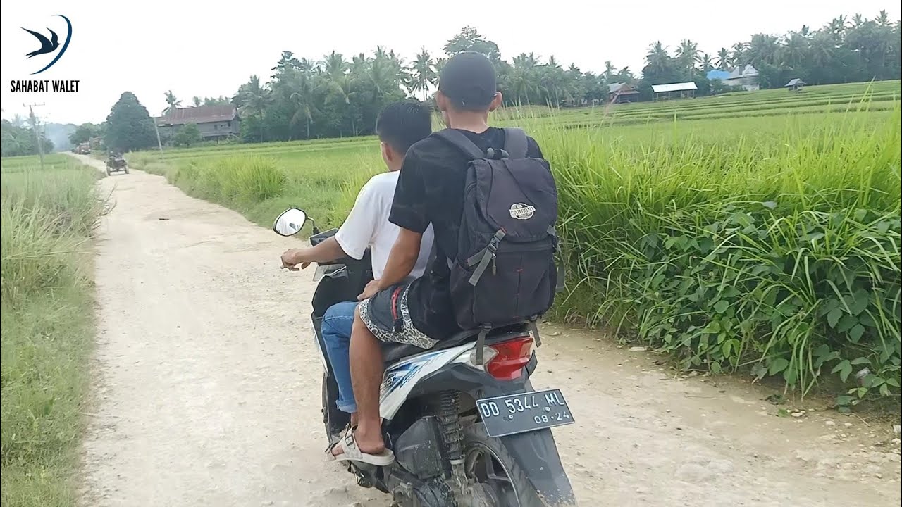 Film Komedi Bugis Bone - Episode: Passompe Buntu Kollu
