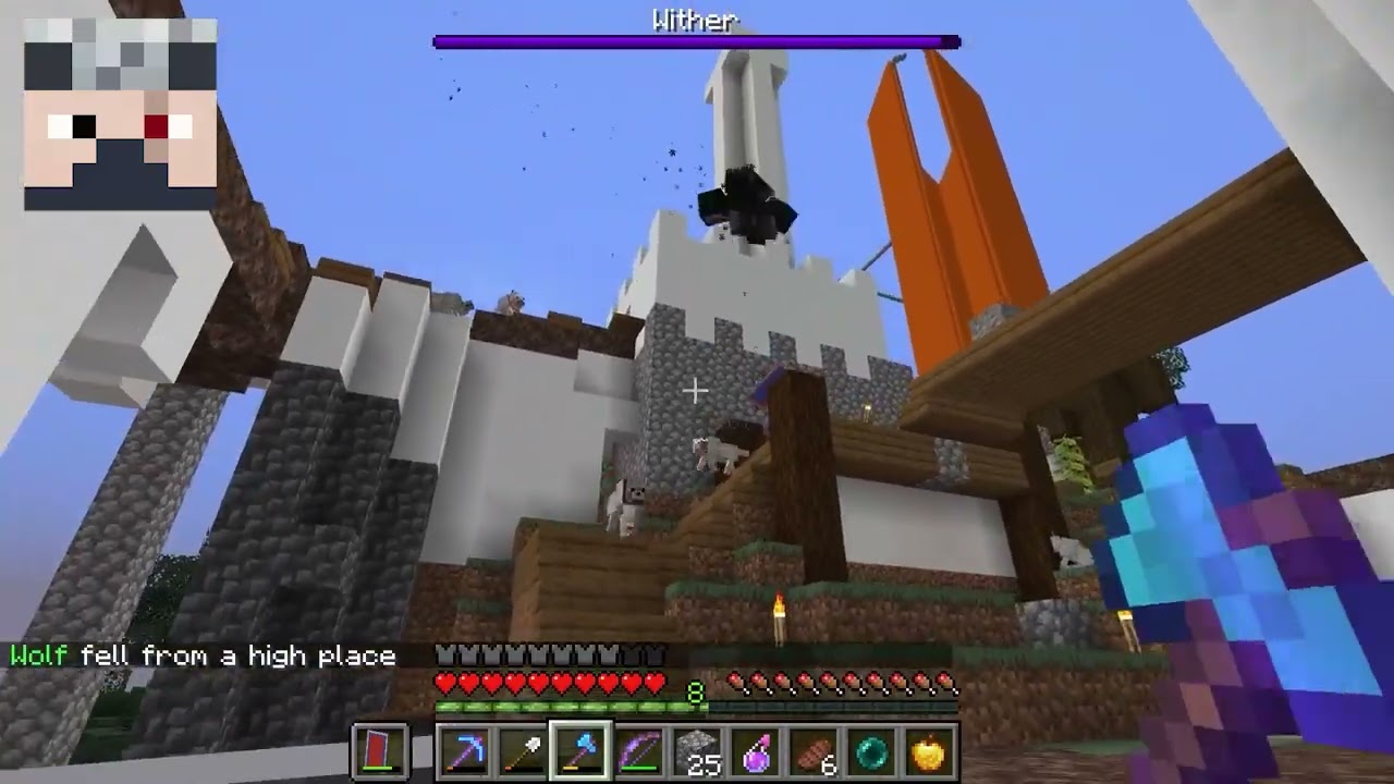 Etho Bravely Fights the Wither [Last Life edit]