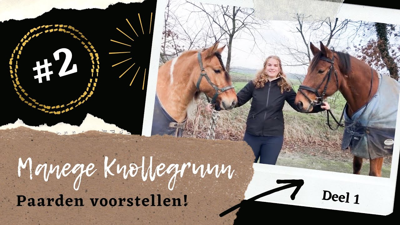 Paarden voorstellen! Vlog #2