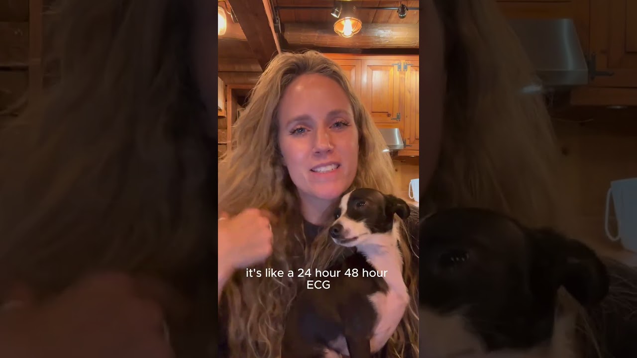 Help! My dog has a heart Murmur! #holisticvet #vet #heartmurmurdog #doghealth #dogmom #yourdog