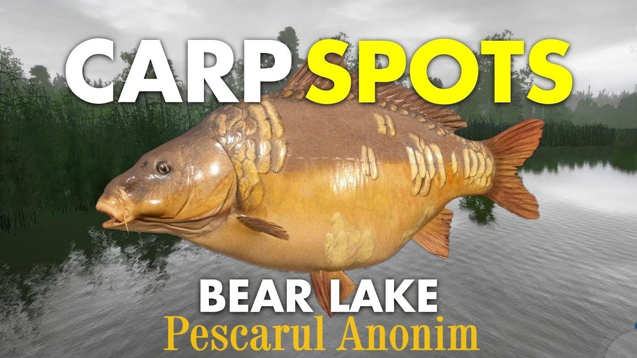 Russian fishing 4 - Bear Lake Spot Carp- Catch monster Lether Carp
