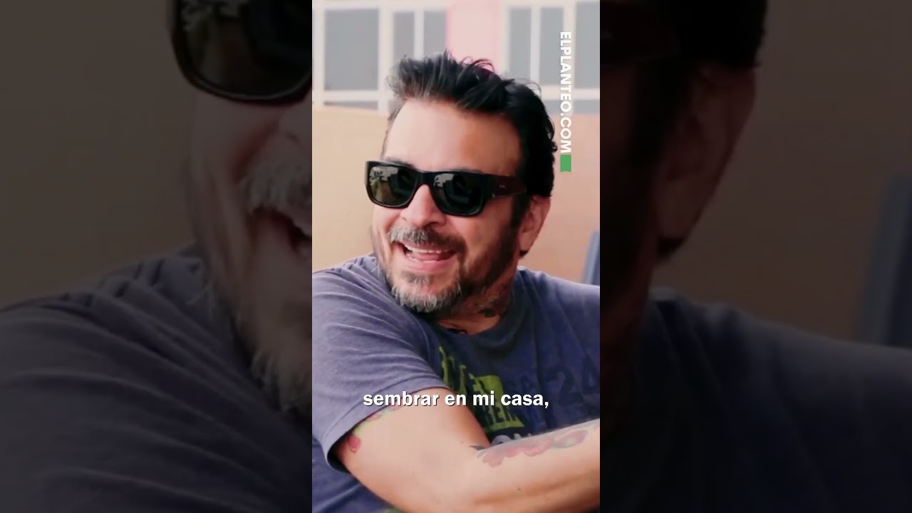 🎥🌿🙌 Cannabis X Cannabis: la Nueva Serie Documental de El Planteo #shorts