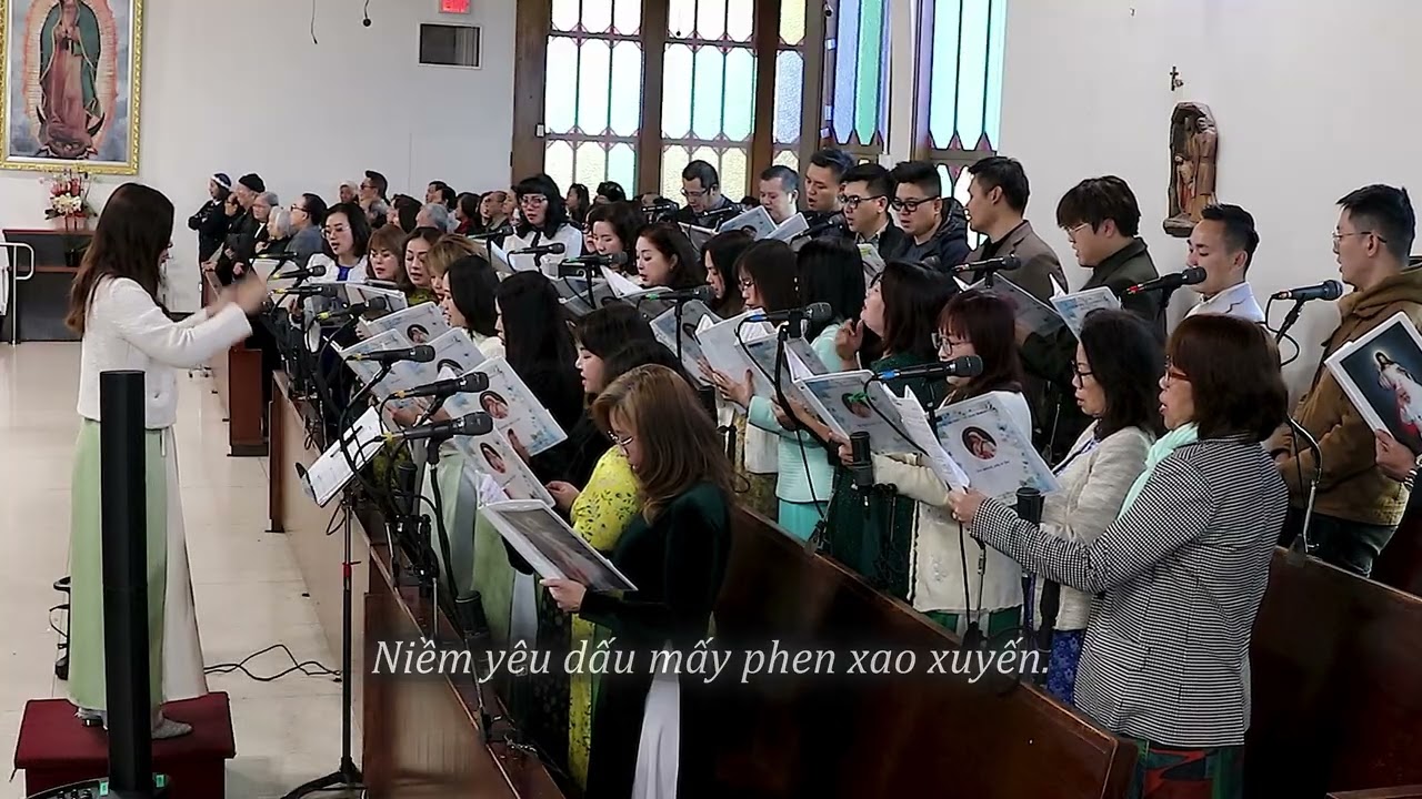 *** BƯỚC ĐƯỜNG TRẦN *** ST : HỒNG TRẦN - PHẠM ĐÌNH ĐÀI