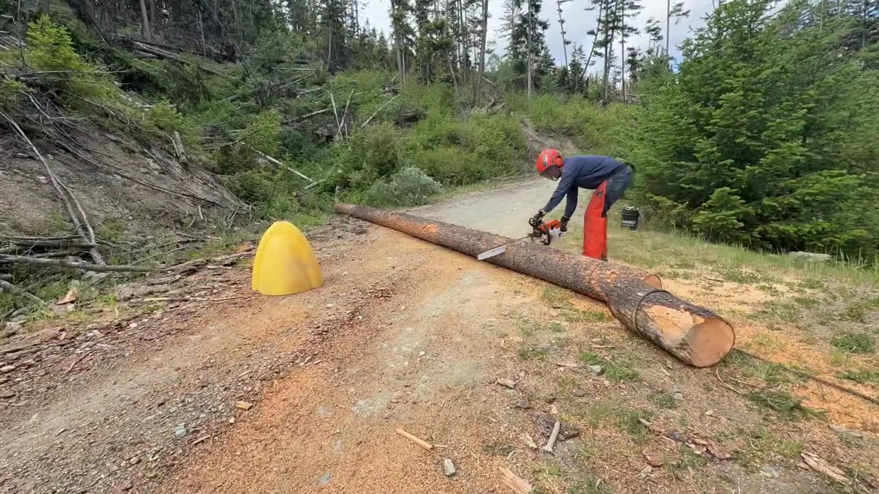 Winching firewood with a PCW5000 winch and a Stihl 462