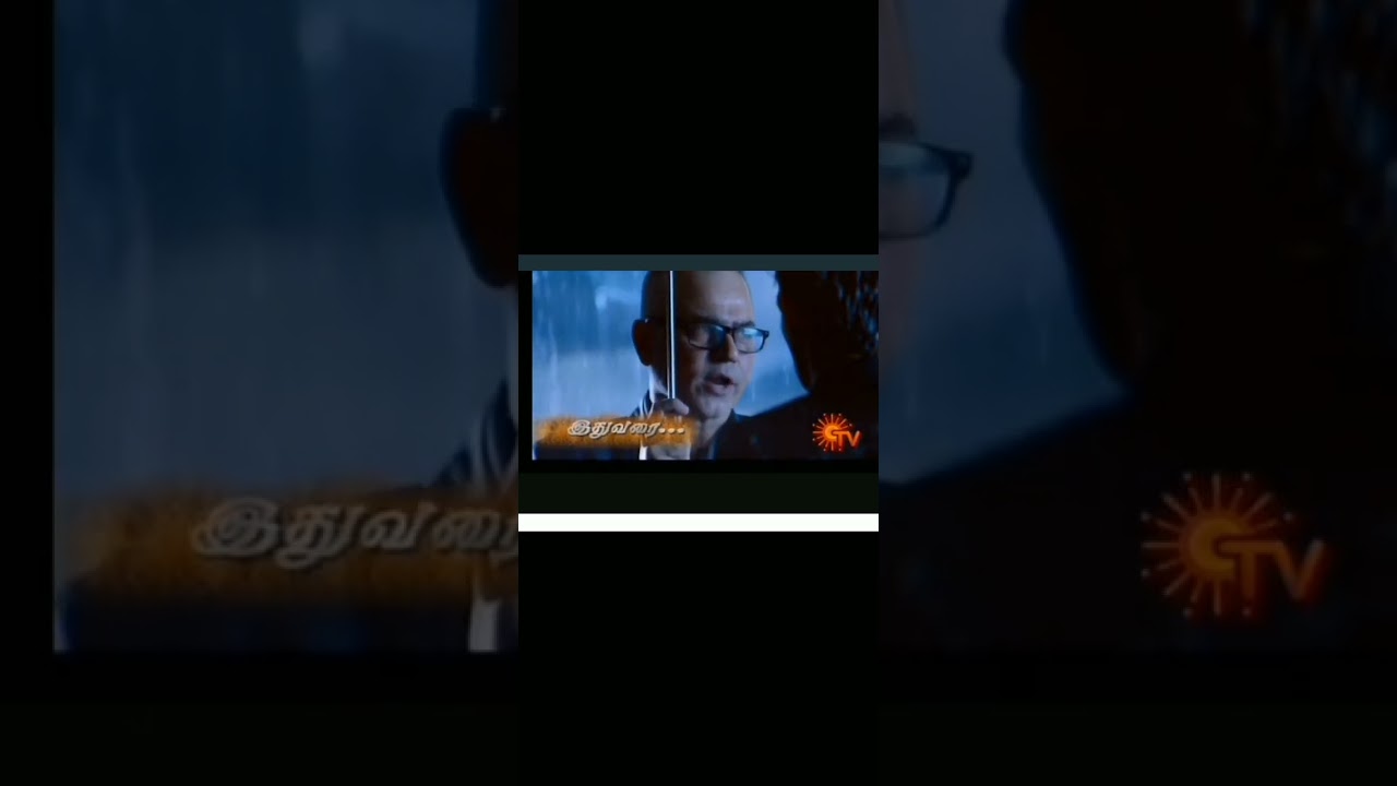 Naagini on sun tv 