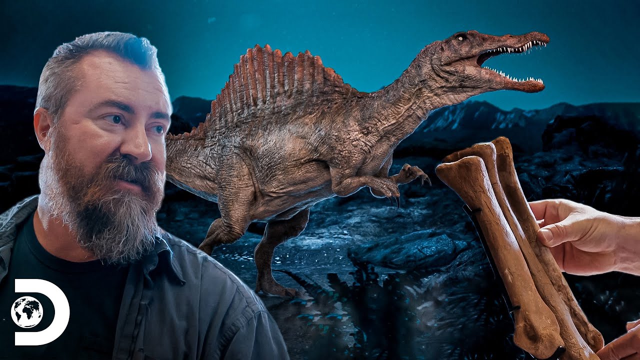 Colecionador precisa vender fósseis de um Espinossauro | Caçadores de Dinossauros | Discovery Brasil