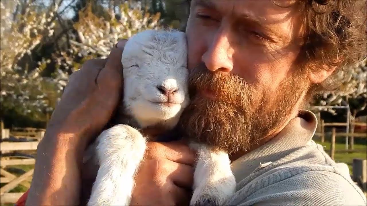 Люди обнимают животных