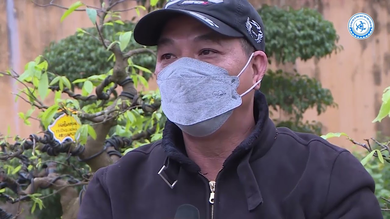 Thừa Thiên Huế hướng đến xây dựng xứ sở Mai vàng