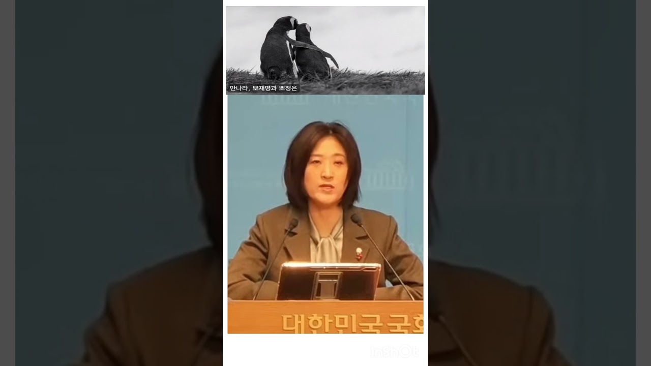 답변왔다! 아직도 뽀재명뽀정은!?