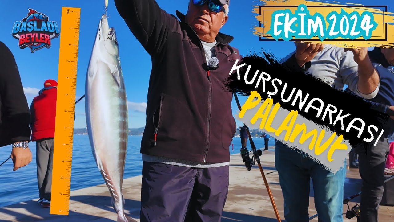 PALAMUT AVI KURŞUN ARKASI BEYKOZ 22&25.10.24 #balıkavı #istanbul #palamut #balık #beykoz #istavrit