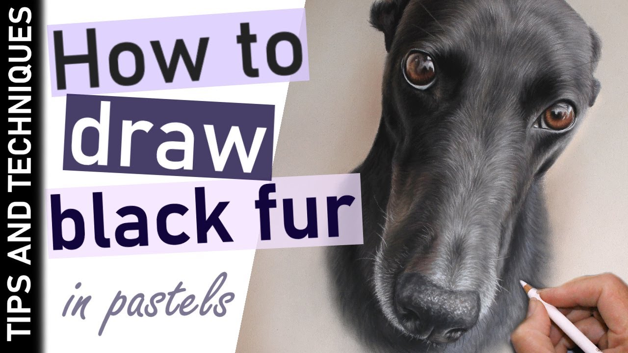 How to draw short black fur | Greyhound pastel drawing