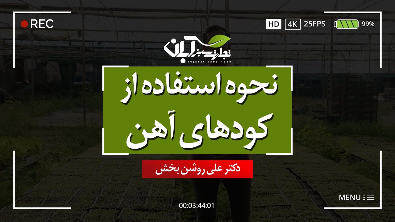نحوه صحیح استفاده از انواع کودهای آهن