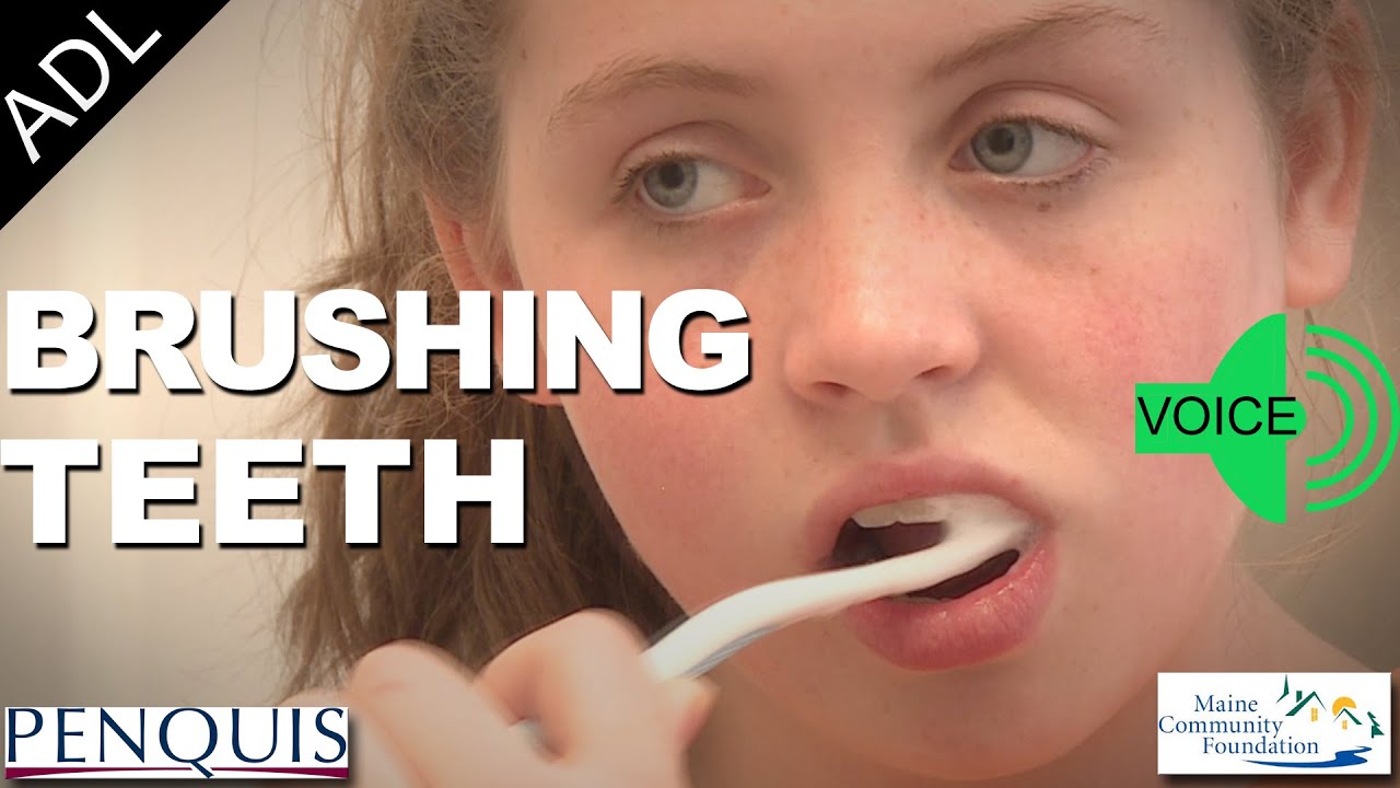 Brushing Teeth (Voice Instructions) - Penquis ADL Tools