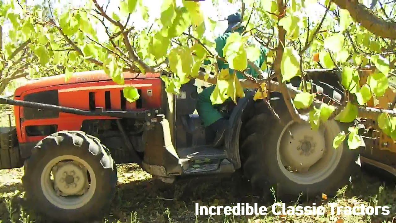 2001 SAME Frutteto II 100 4WD 4.0 Litre 4-Cyl Diesel Tractor (90 HP) with Berti Picker 180 Mulcher