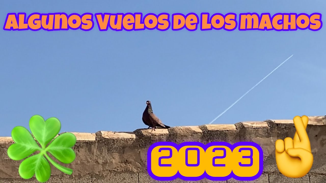 Vemos algunos Vuelos de la Generación del 23, Esperemos que pronto comiencen a darnos más Diversión!