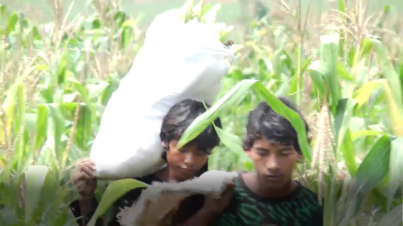 Cambodia: Dreams Come True for Poor, Landless Farmers