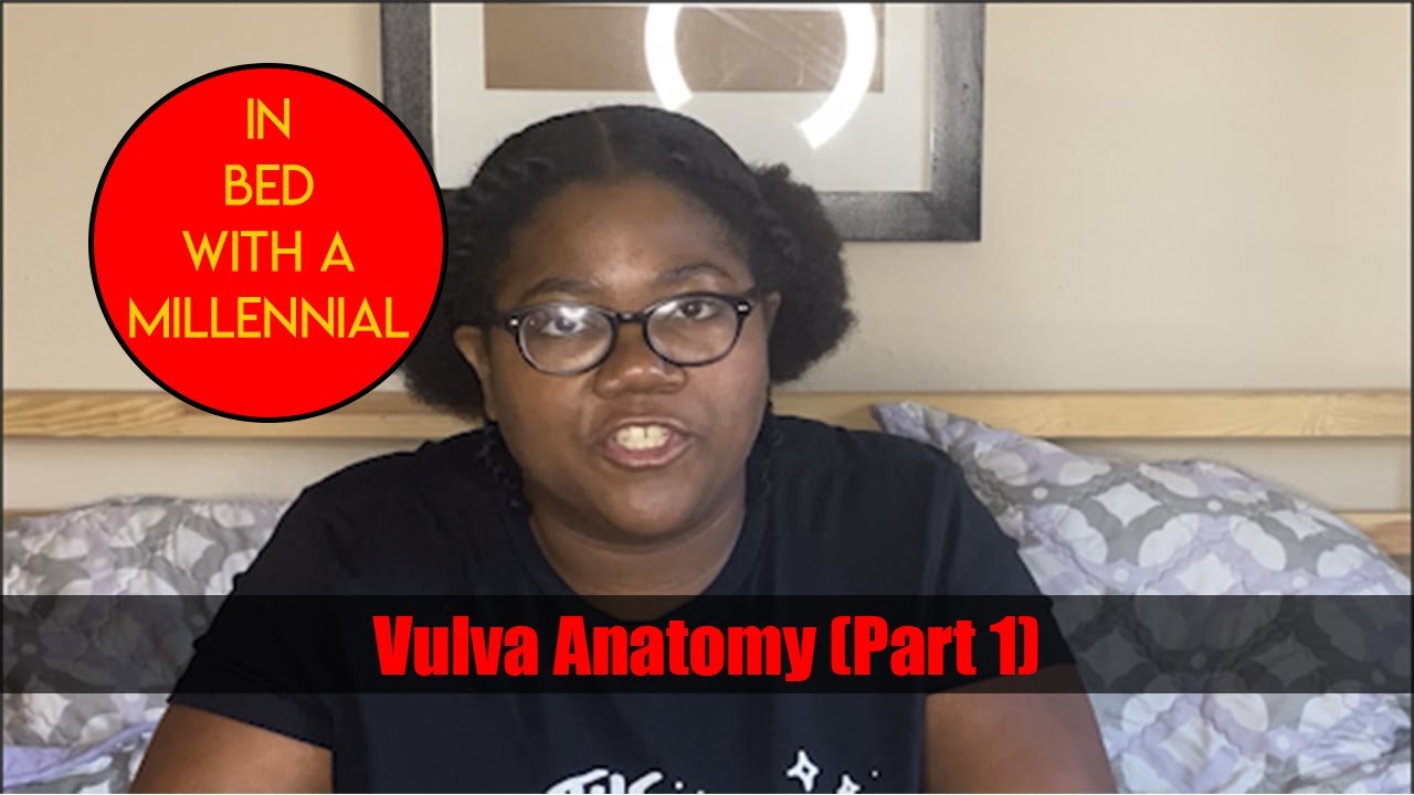 Vulva Anatomy (External) | In Bed With a Millennial