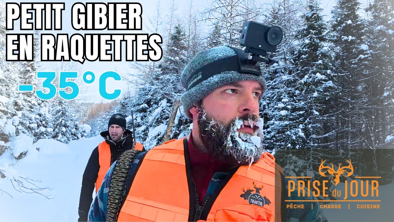 Chasse au lagopède, tetras, perdrix l'hiver dans un froid extrême