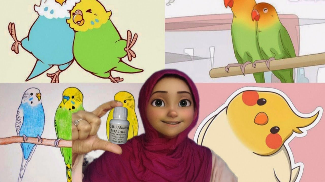 1000 متابع شكراً ليكم 🤍 | شرح استعمال منشط الكبد خطوة بخطوة#birds #budgie_videos #lovebirdsfarming