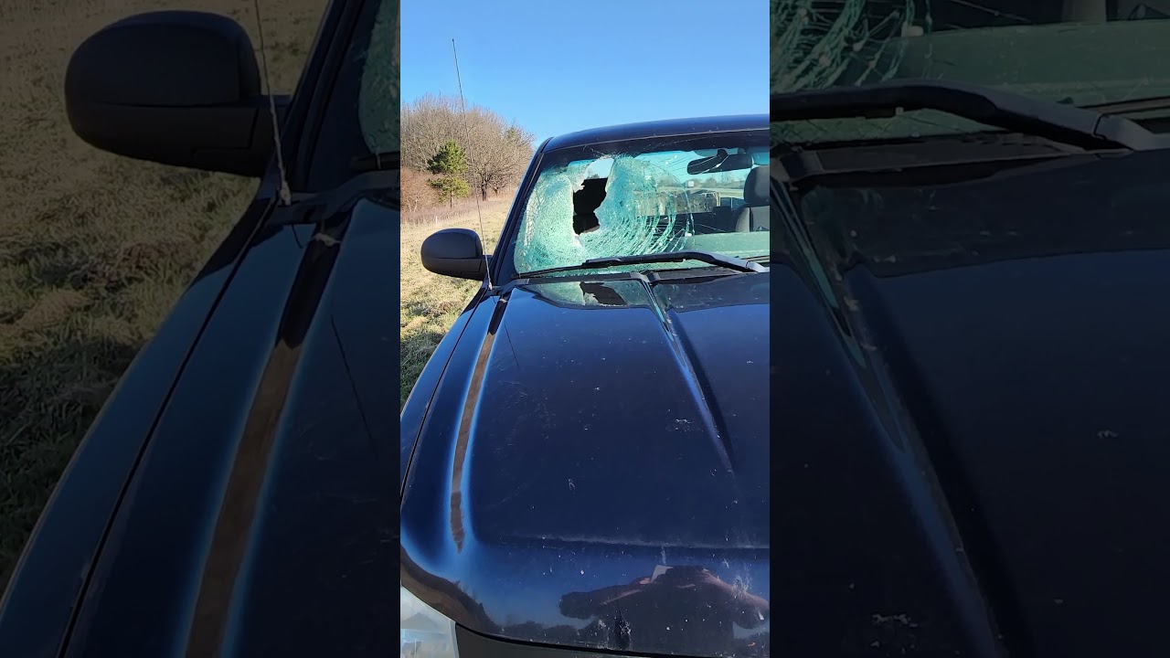 FREAK ACCIDENT CAUGHT ON TESLA DASHCAM