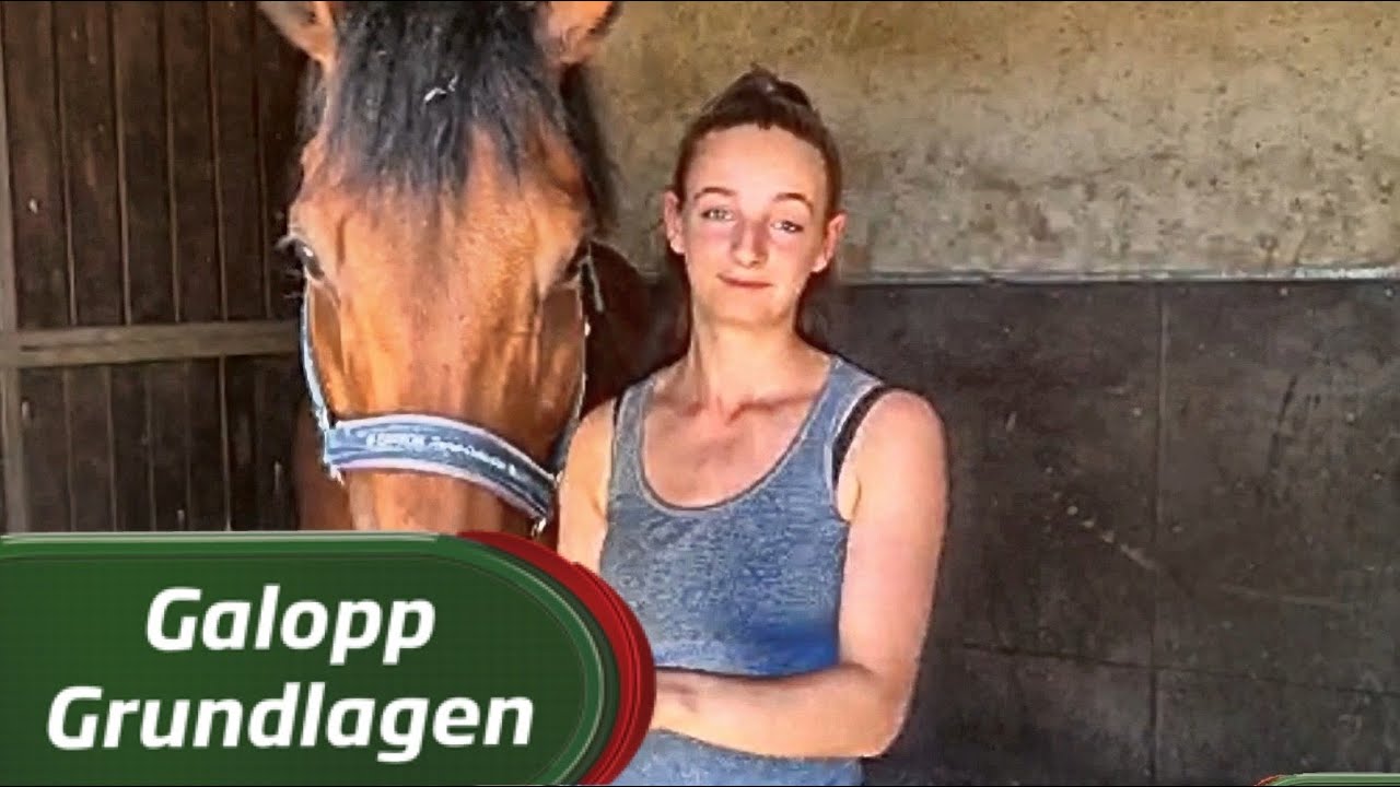 Galopp Grundlagen # 31 Pferdepfleger