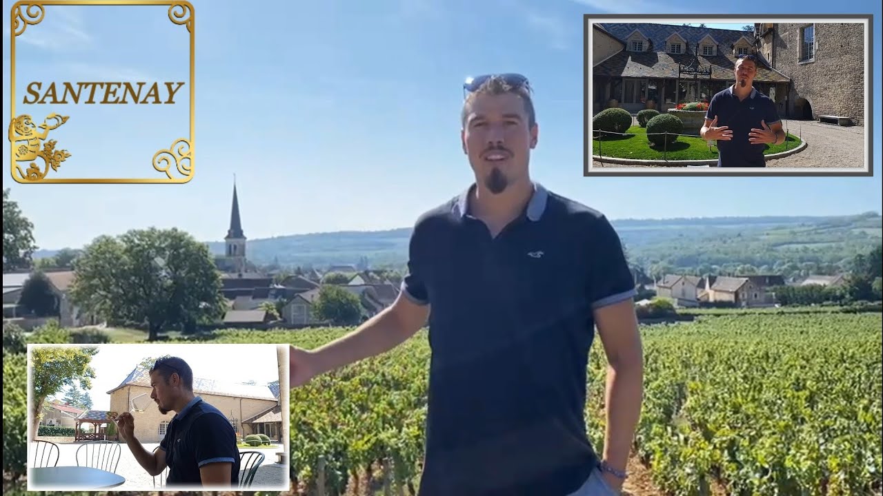 Le vignoble de Santenay