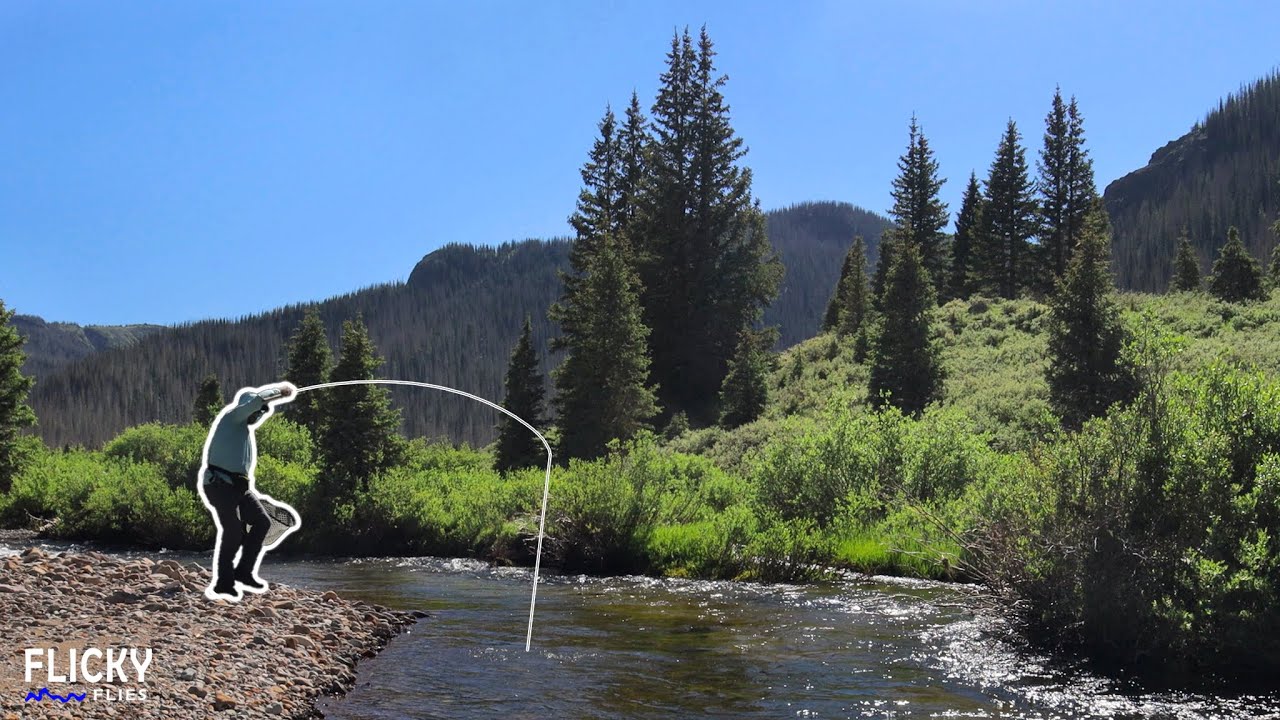 Can a TENKARA Rod Handle These Large Brown Trout?
