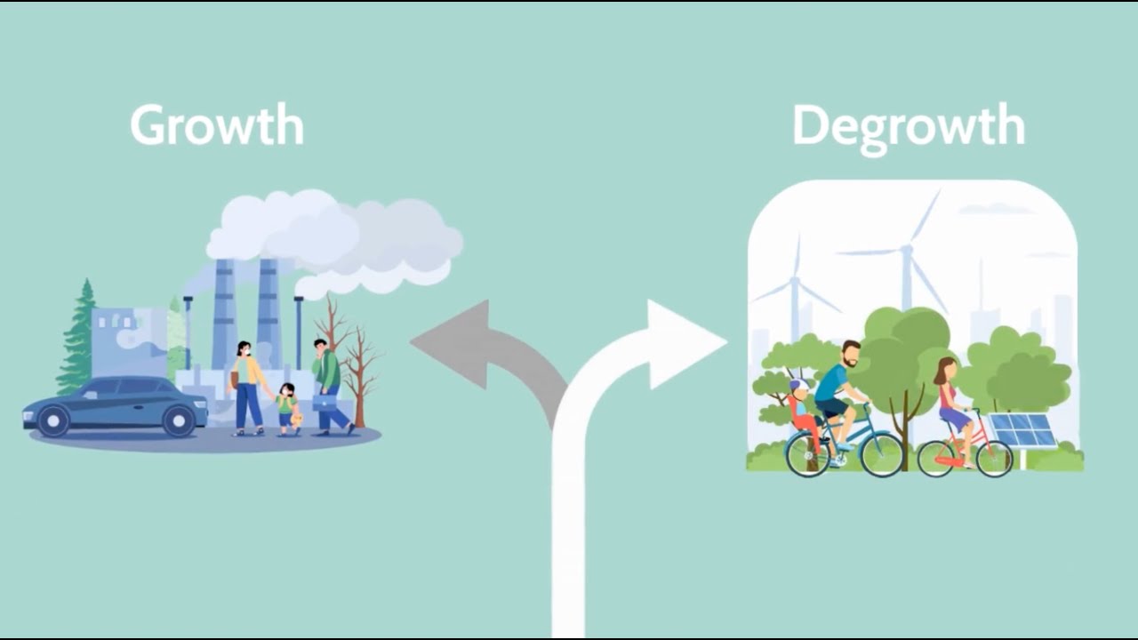Degrowth for Business Sustainability