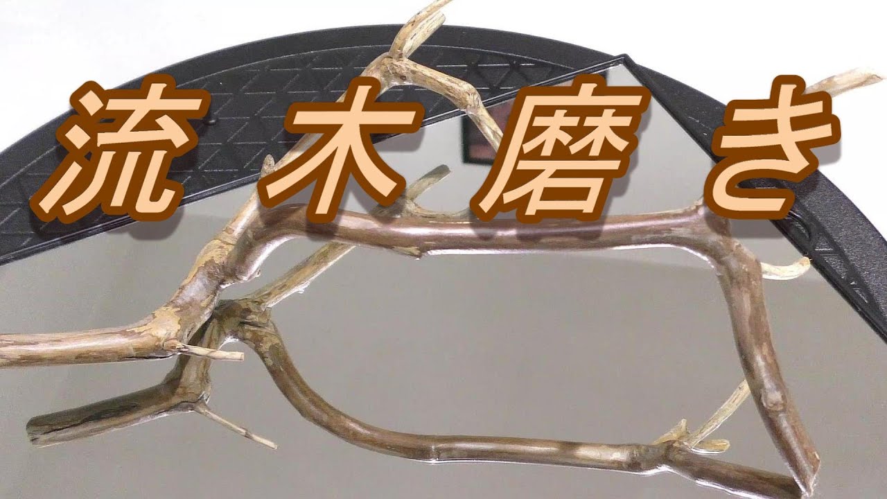 「流木磨き動画」拾った流木を磨いてみた