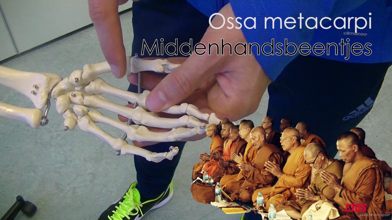 Trainingskunde - Bottenlied - CIOS Haarlem Hoofddorp