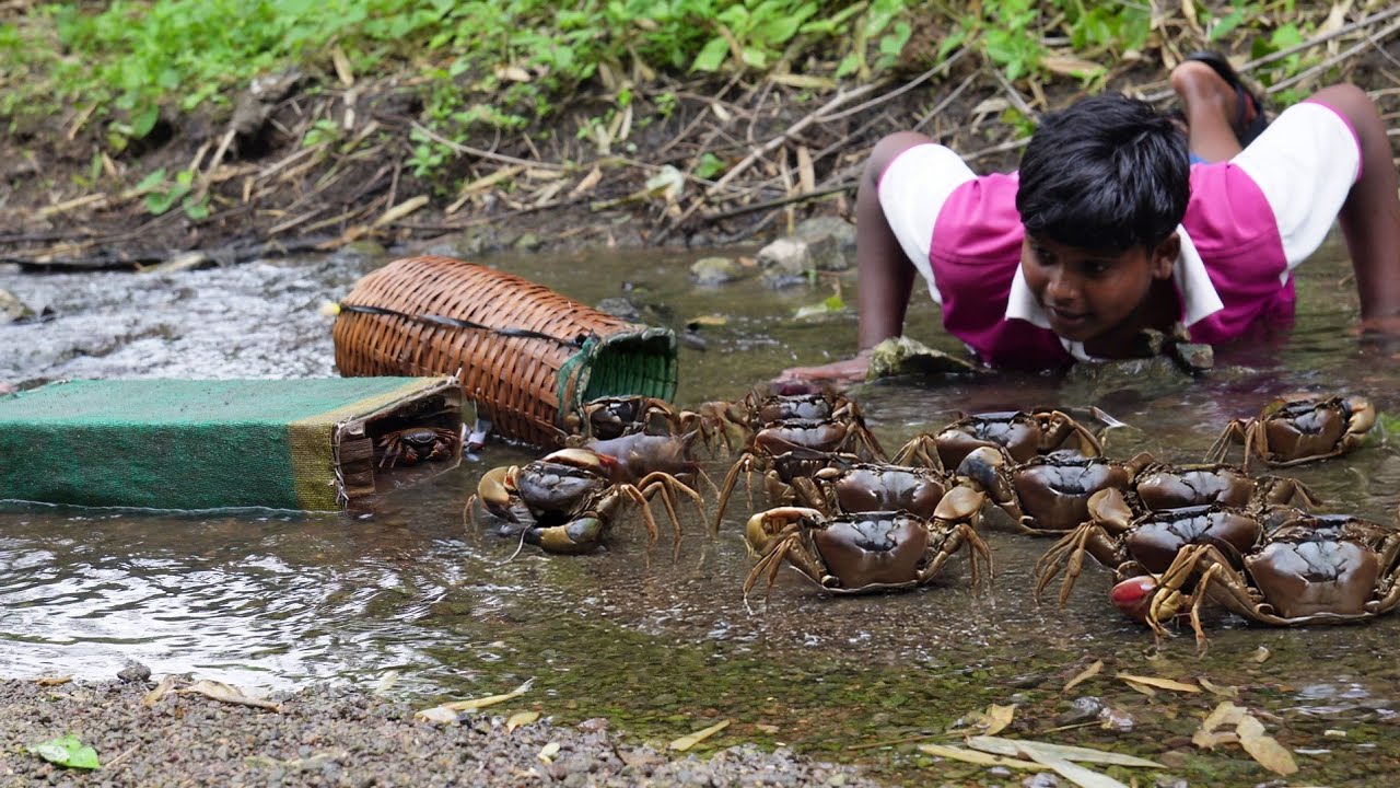 दोन वेगवेगळ्या प्रकारचे खेकडा ट्रॅप,पकडले भरपूर काळे खेकडे,बनवली खेकडा तंदुरी