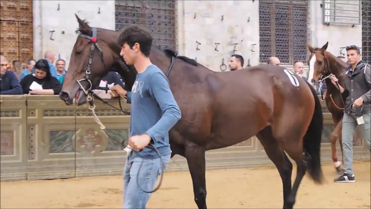 PALIO STRAORDINARIO 2018. VIOLENTA DA CLODIA E GIOVANNI ATZENI PER IL NICCHIO.
