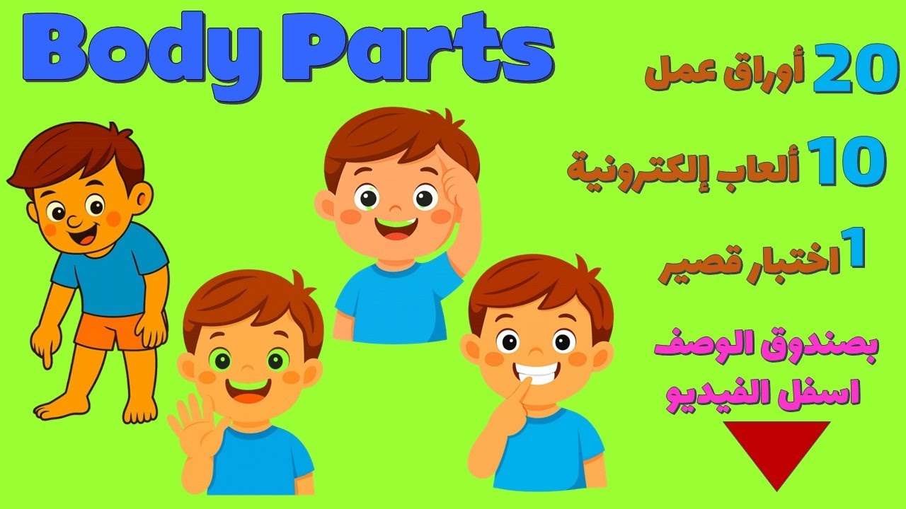 body parts 2 hair teeth hand foot