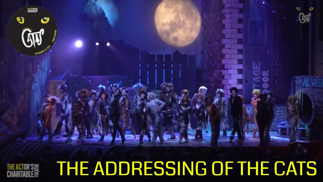 The ACT presents 