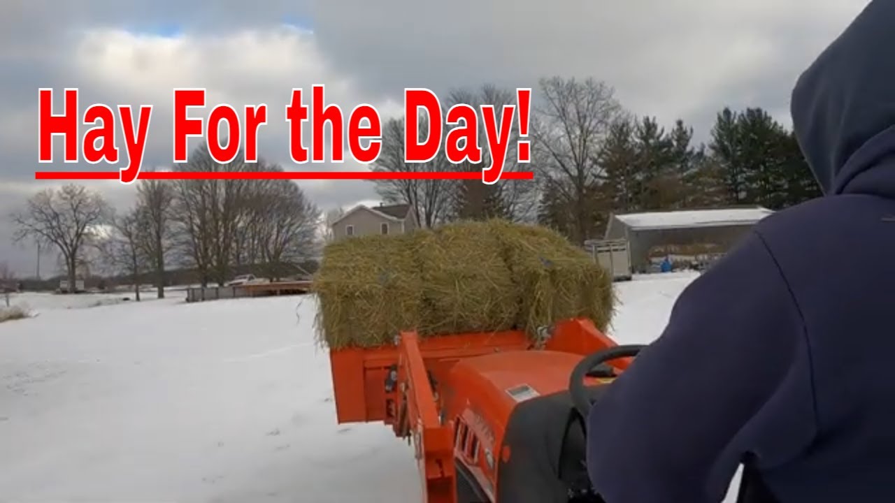 Эта машина продолжает меня удивлять! #LX2620Kubota #лошади #сельскоехозяйство