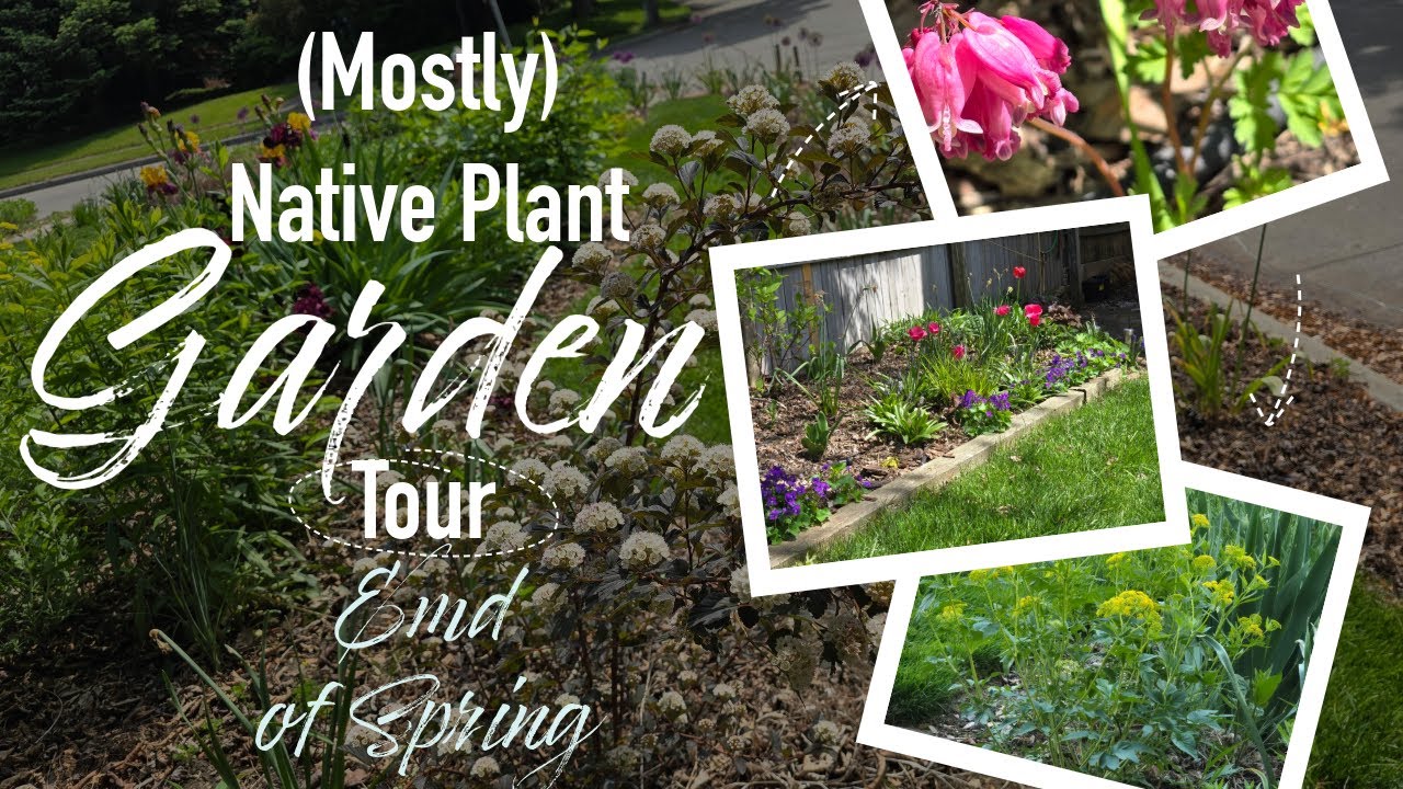 Explore Paradise! - End of Spring Native Plant Garden Tour