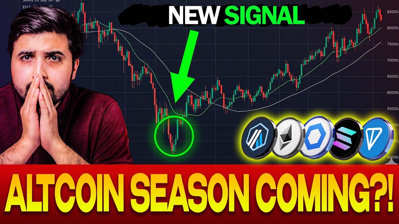 We marked the bottom! Does this mean Altcoin Season is Coming?!