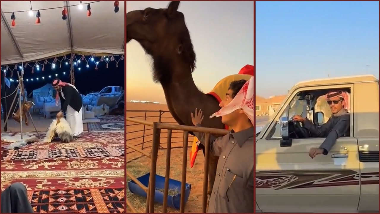 سنابات بهاج الاكلبي | آخر يوم في الصياهد مع مسعود بن شعفول، ردت فعل العقيد 😂💔!