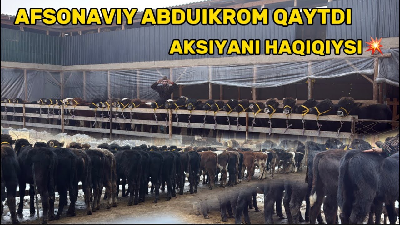 💥CHORVADORLARGA YAXSHI IMKONIYAT ✅