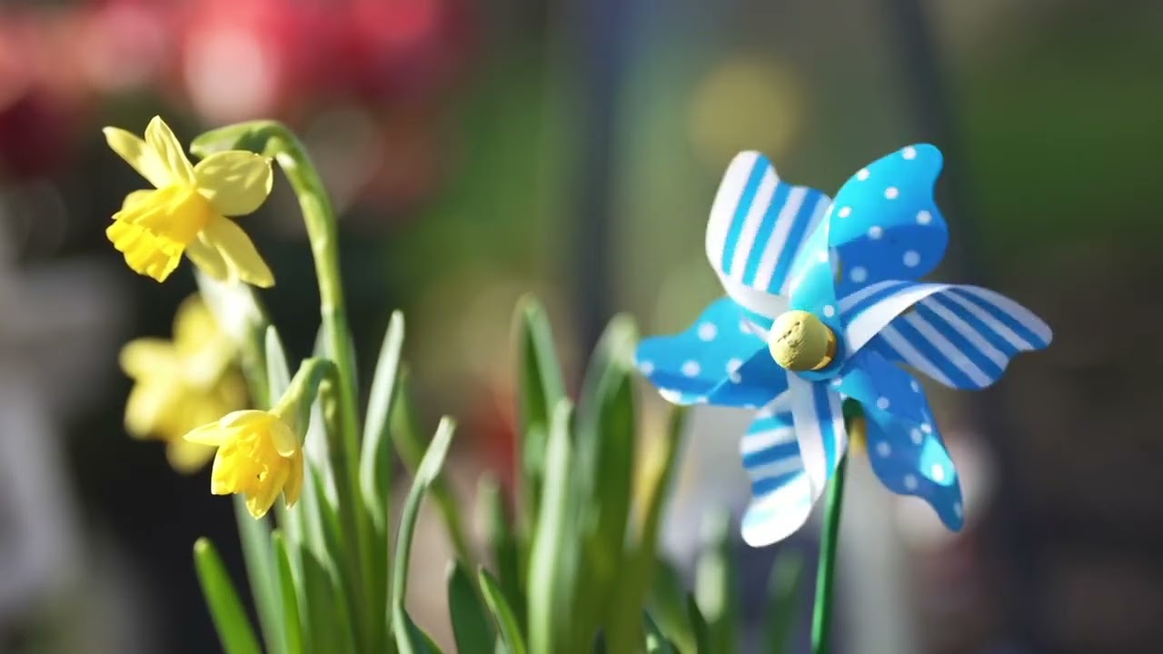 Nate - Spring comes