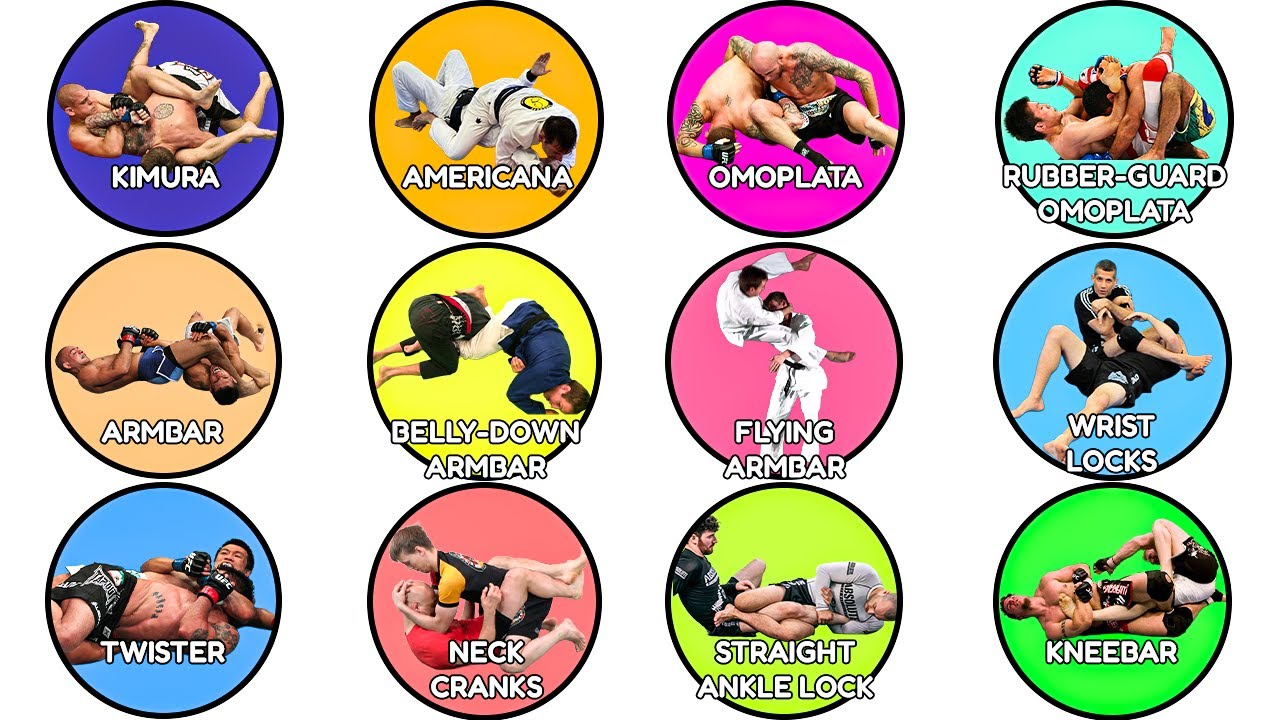 Все виды захватов в смешанных боевых искусствах объясняются за 14 минут!