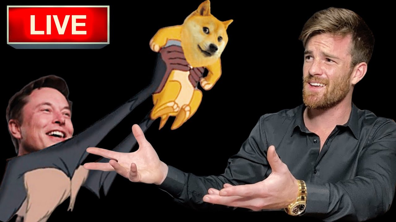 Elon Musk Dogecoin Tweets Explained | What Is Doge? | REAL INFO