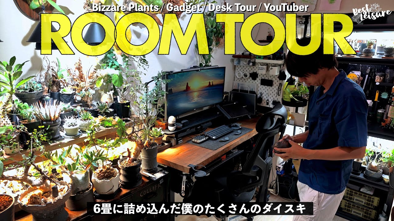 【ROOMTOUR】植物にデスクガジェットに6畳一間に詰め込んだ僕の大好きなもの｜多肉植物｜塊根植物｜アガベ｜パキポディウム｜デスクツアー｜ルームツアー｜
