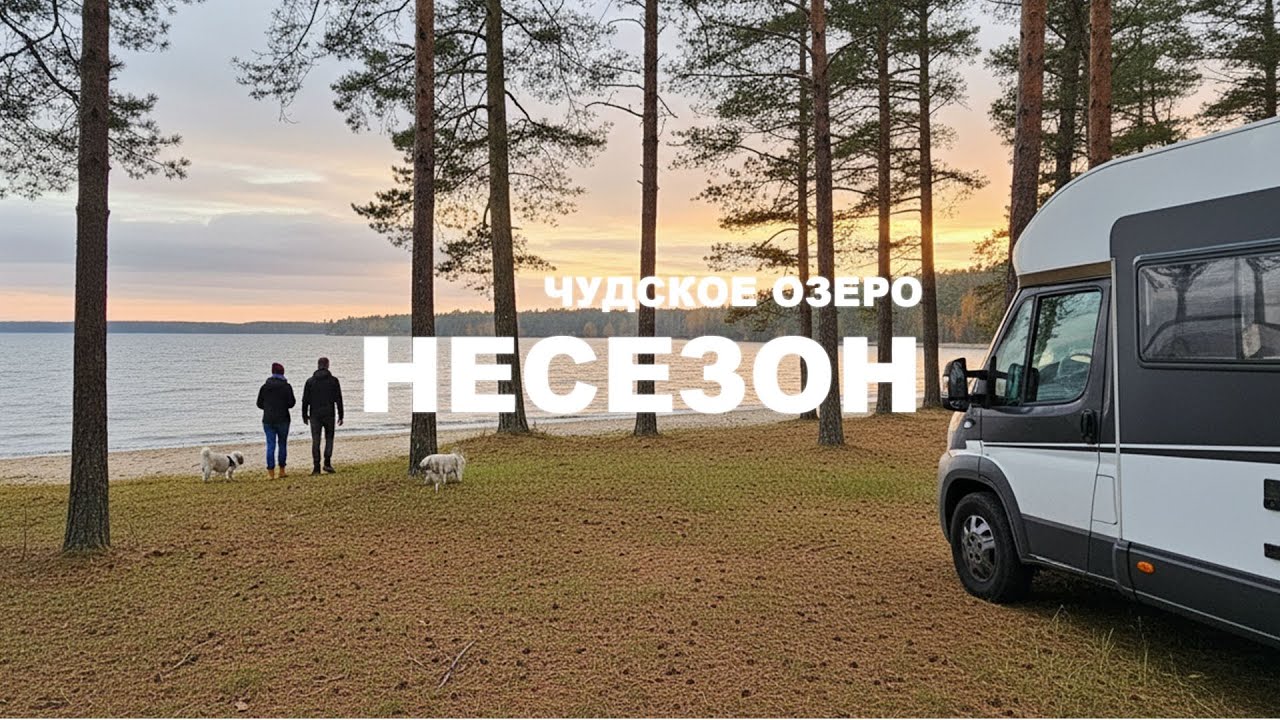 Чудское Озеро в Несезон: Прогулка под Дождем, Лес и Уют Автодома (Кемпинг Каукси с Питомцами)