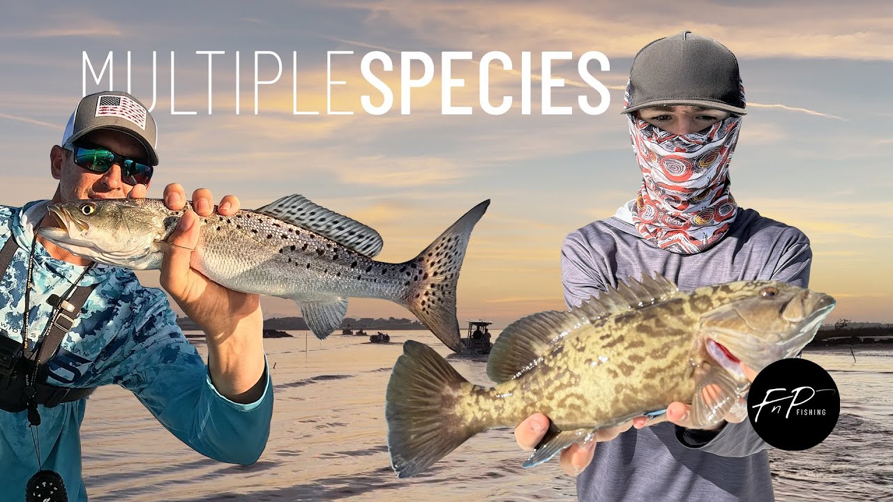Multiple Species Inshore Fishing with Logan