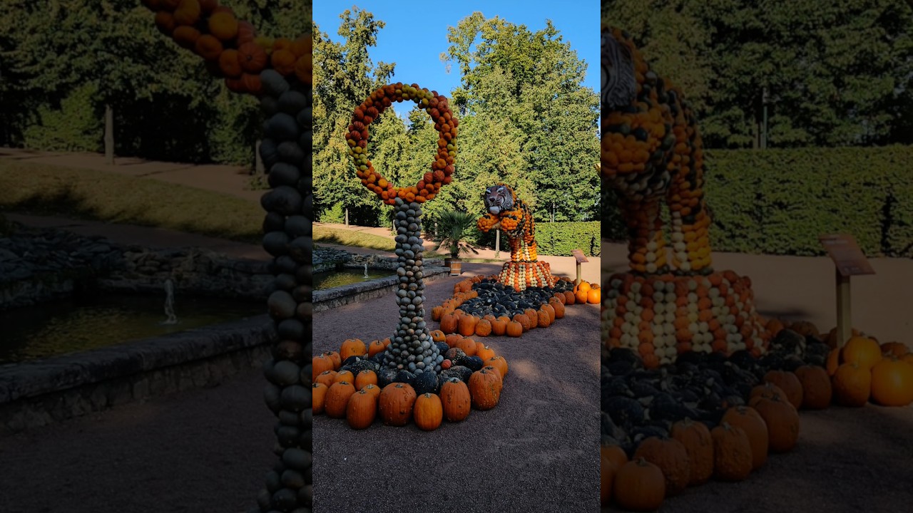 So schön ist Sachsen! Kürbisfestival Lichtenwalde bei Chemnitz – Herbstzauber pur 🎃