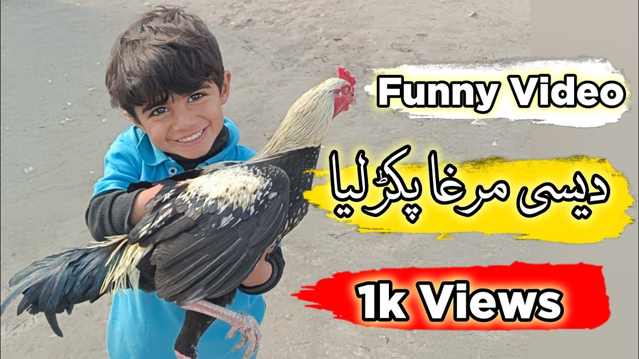 Murgha Pakar Liya Is Ne 😍 